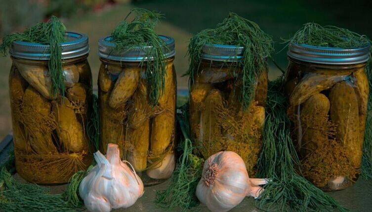 Вкусные рецепты салатов с солеными огурцами для любого стола