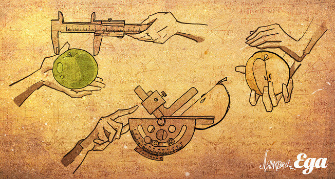 Исследуем Яблоки: Практические Советы и Секреты