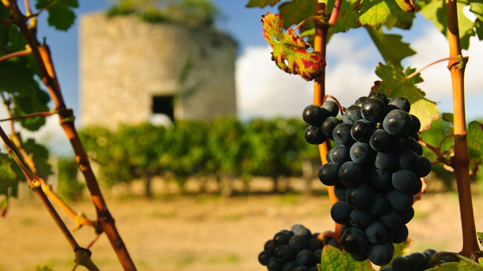 ��� �������� �����: ����, �������� � ����� �����