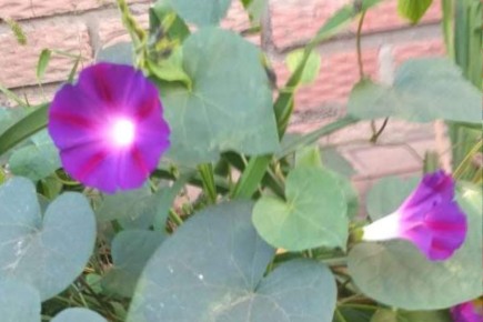 ��� ������ ���� ������������: ������ ������ ��������� ��������������� �� ������ �� ����