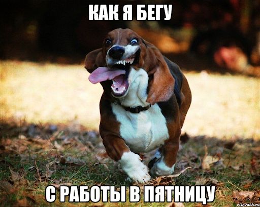 ����� ������� �������� ��� �������� ������