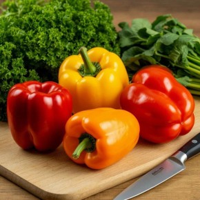 ���� � �������: ����������� ����� � ������ ��� �����������