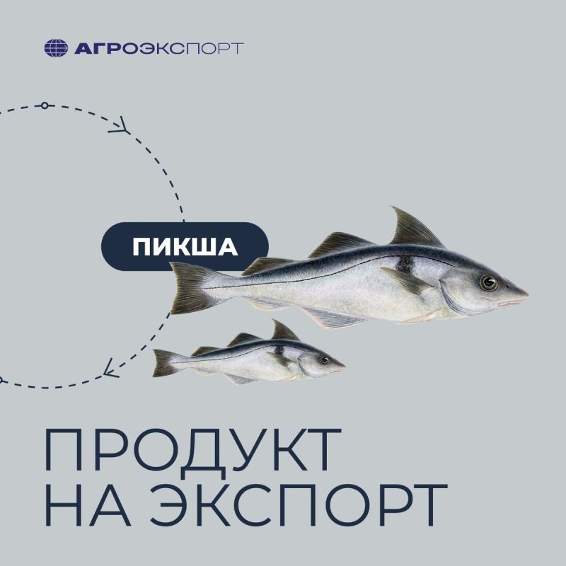 ����� �� ������� �����: ����� ��������� ��� �����������