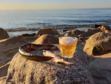 ����� �������: ����� ������ �������