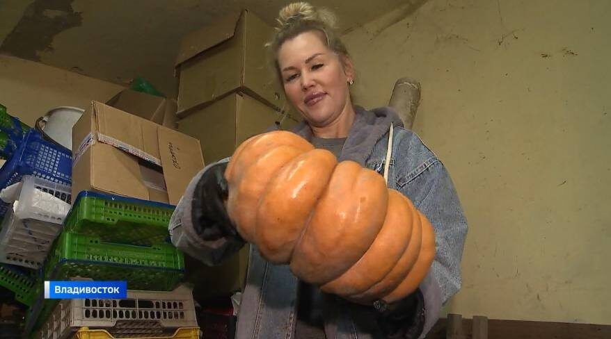 ����� ��������� �������� ��������: ���������, ������ � ���������