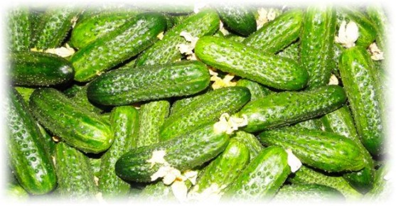 ��� �������� ���� �������� ������ �������: ������ ��� �������� �������