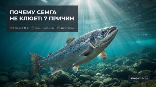 ������ ���� �� �����: 7 ������ �� �������� ����