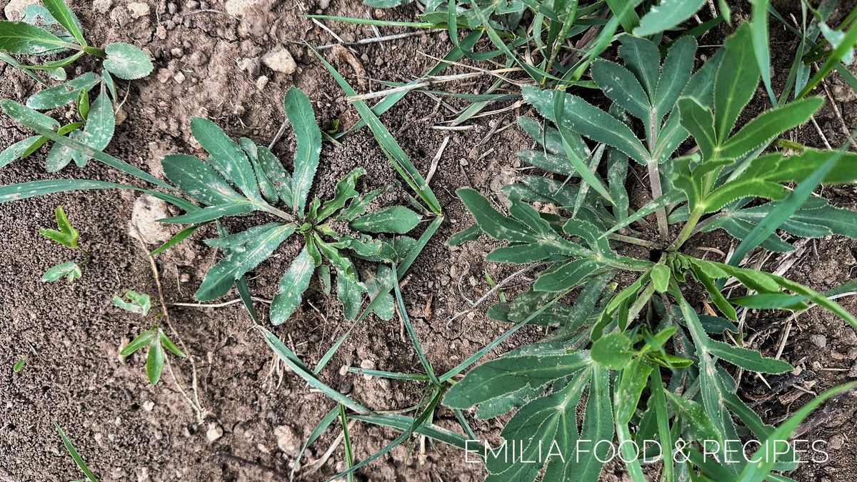 �����: �������� ����������� � ������ � �����