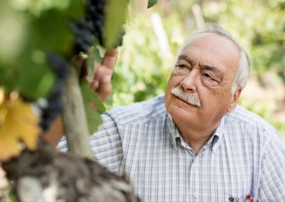 ���� ���� � ��� ����: ������� ����� ��������