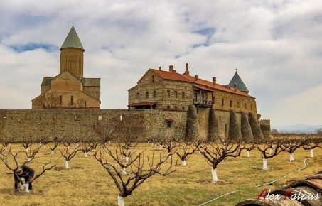 ������������ ������� �������: ����������� � ��������