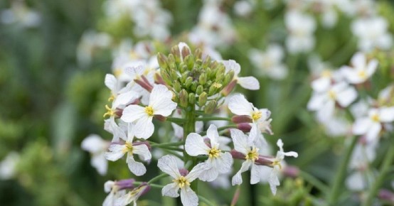 ��� �������� ������������ � �������� ������� ������ ������