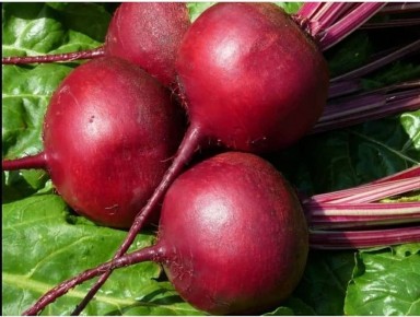 ��������� ��������� �� �����: ��� ������� �������