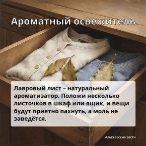 �������� ����: ������������ ��������, � ������� �� �� �����