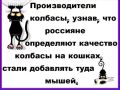 ���� ����������: ��� ����� ����� ����� �������� �������